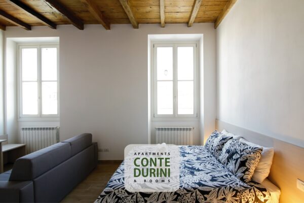 Conte-Durini-Apartment-King-3