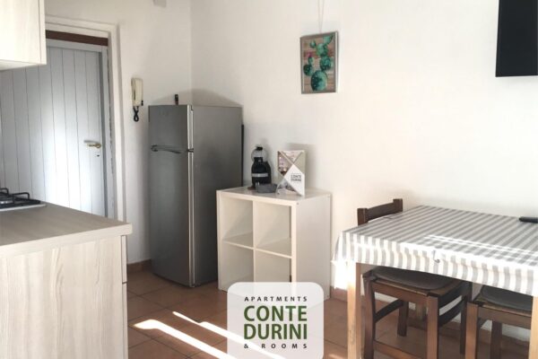 Conte-Durini-Apartment-Carolina-2