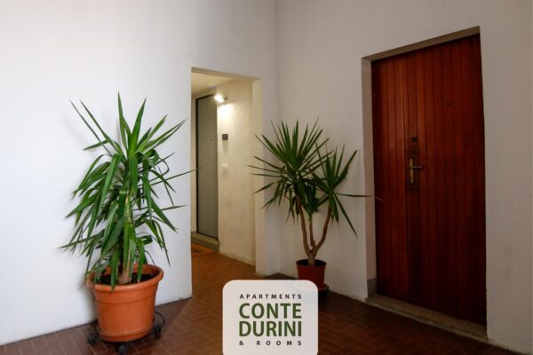 Conte-Durini-Apartment-KIng-ingresso-porta
