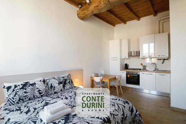 Conte-Durini-Apartment-King-4