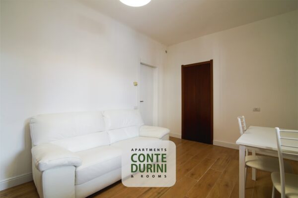 Conte-Durini-Apartment-Wizard-4
